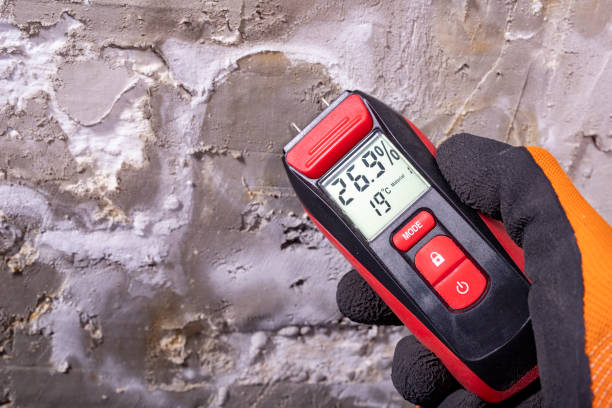 Best Office Mold Removal Services  in Glen Ridge, NJ